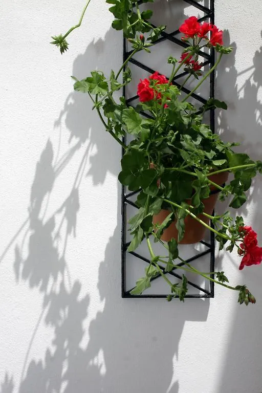 Lejlighed Apartamentos San Fernando 76 Córdoba Spanien